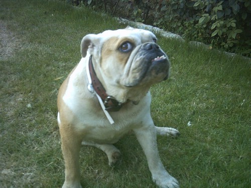 PICT0070.JPG