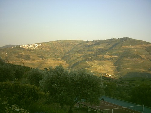 PICT0072.JPG