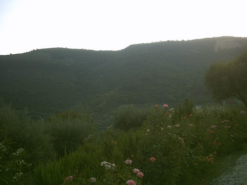 PICT0073.JPG