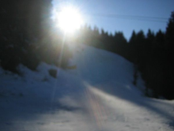 IMG_2994.JPG