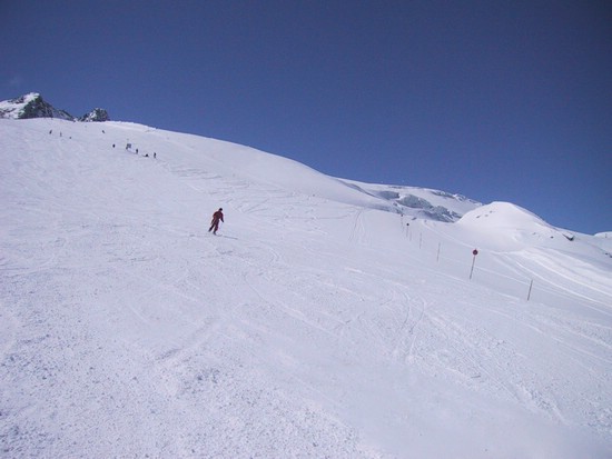 272-7251_IMG.JPG