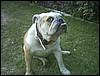 PICT0070.JPG