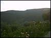 PICT0073.JPG