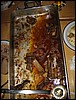 IMG_0748.JPG