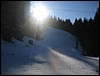 IMG_2994.JPG