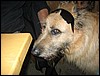 IMG_3027.JPG