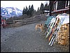 IMG_3063.JPG