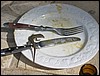2006_10_17Saunaausflug Ibiza 106.jpg