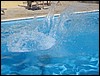 2006_10_17Saunaausflug Ibiza 160.jpg