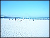 P1060543.JPG