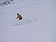 261-6170_IMG.JPG
